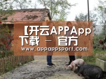开云APPApp下载 - 官方下载地址官网