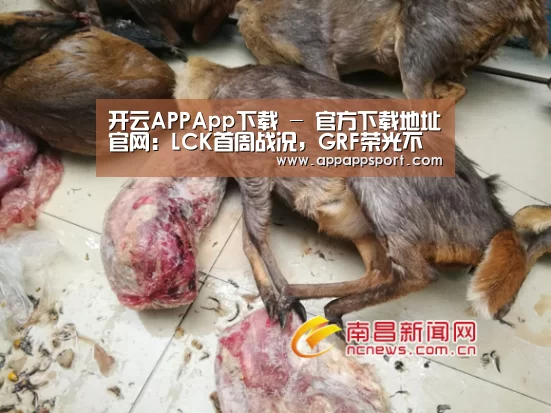 开云APPApp下载 - 官方下载地址|开云APP